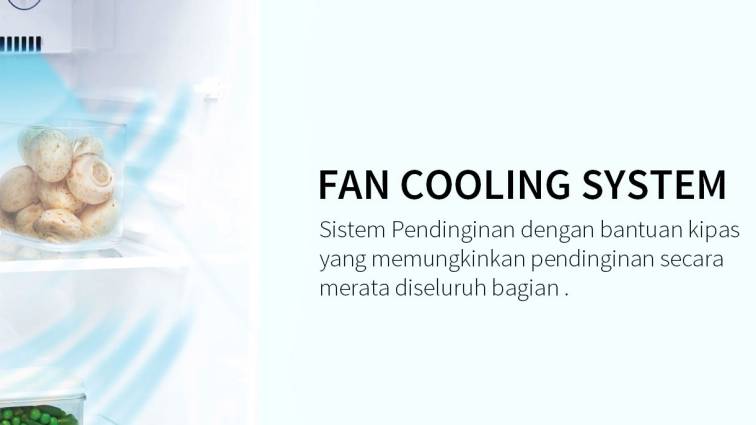 Fan Cooling System