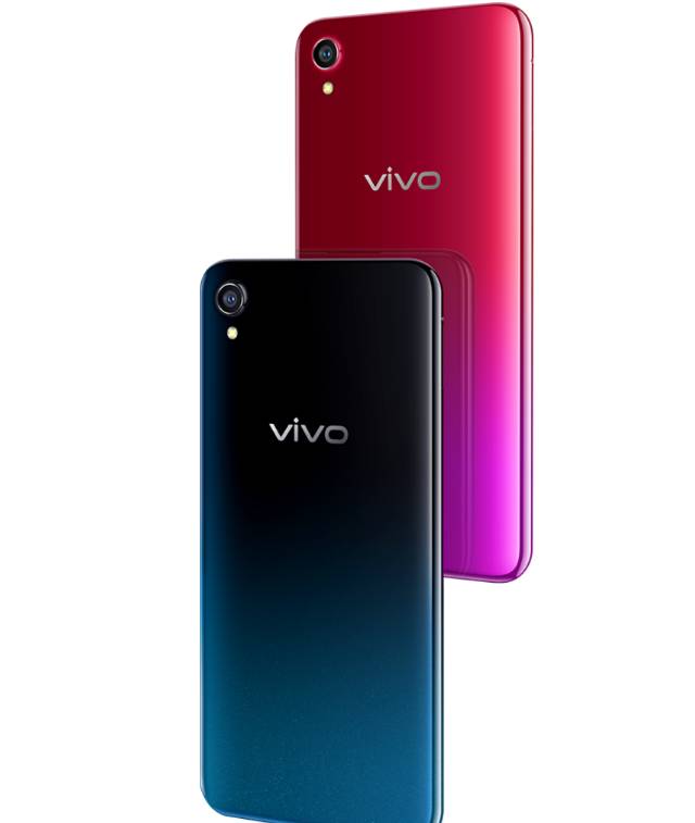 Gradasi Warna Vivo Y91C