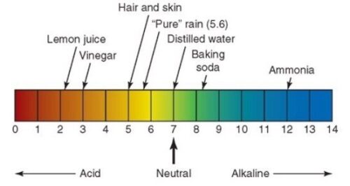 ph scale