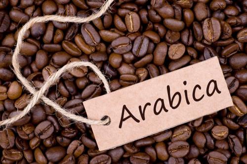 jenis biji kopi arabica