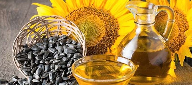 minyak sayur dan minyak bunga matahari