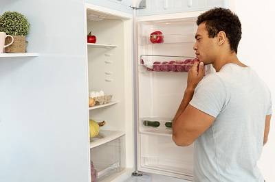 cara menggunakan kulkas baru